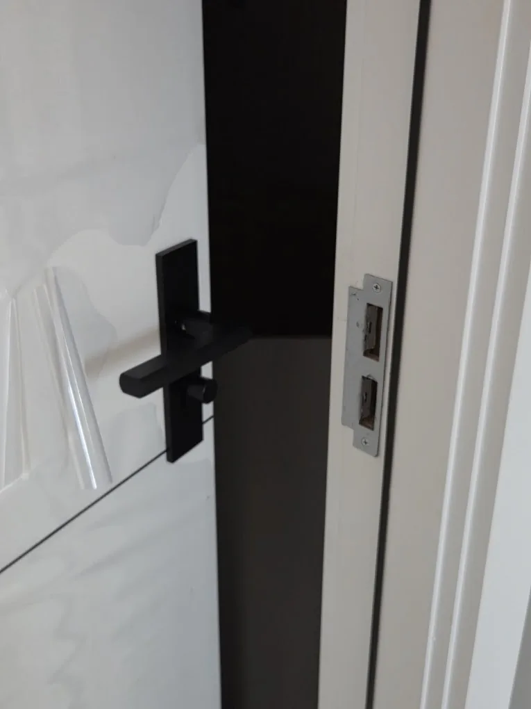 Installed modern black door handle and lockset